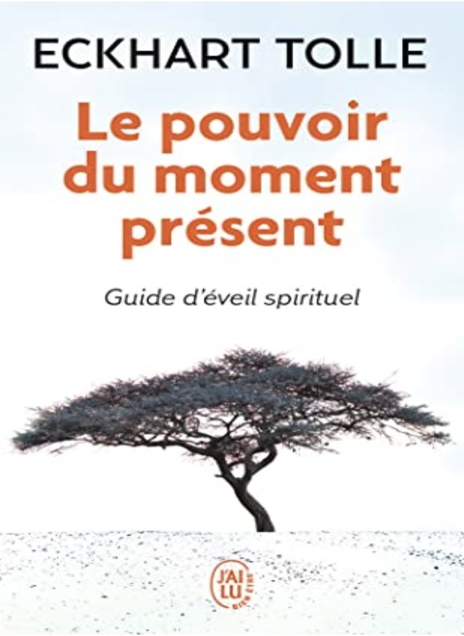 Le Pouvoir Du Moment Pr Sent - Guide D' Veil Spirituel 