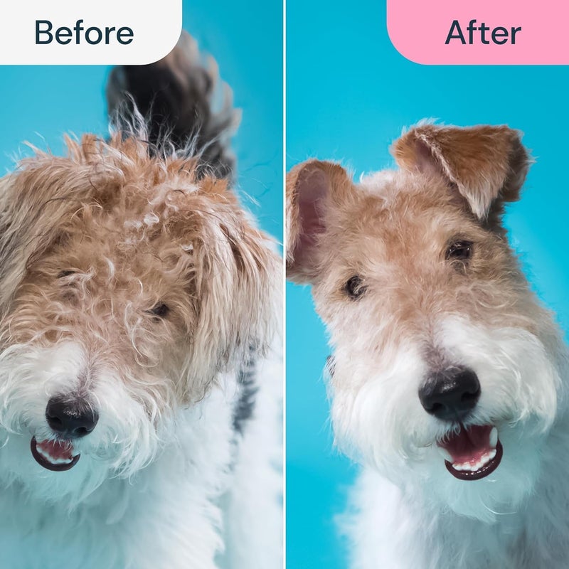 COFIEX 2-in-1 Dog Grooming Kit: Deshedding Tool & Dematting Comb for Small to Large Breeds - Reduce Shedding by 95% - Remove Mats and Tangles - Ideal for Short to Long Hair - Pet Brush for Dogs/Cats - Image 4