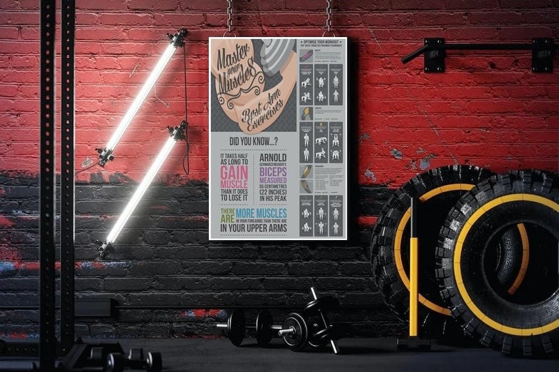 PIXELARTZ ملصق حائط تحفيزي لتمارين الذراعين ورسوم توضيحية لبناء الأجسام - ملصقات بجودة عالية للمنزل، المكتب، الغرفة، صالة الألعاب الرياضية - متعدد الألوان - Image 1