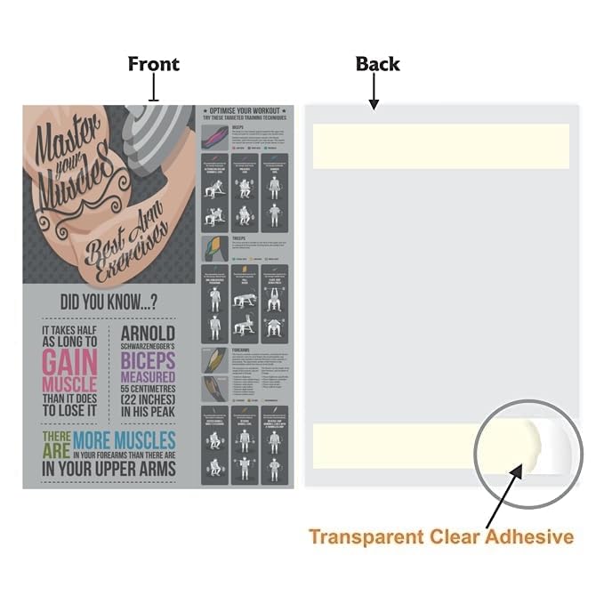 PIXELARTZ ملصق حائط تحفيزي لتمارين الذراعين ورسوم توضيحية لبناء الأجسام - ملصقات بجودة عالية للمنزل، المكتب، الغرفة، صالة الألعاب الرياضية - متعدد الألوان - Image 3