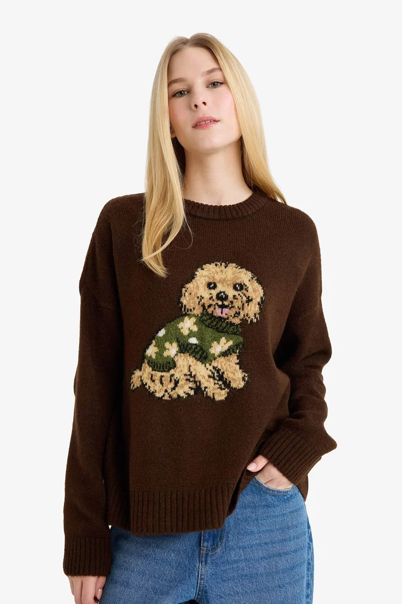 Defacto  Regular Fit Crew Neck Dog Prit Knitwear Pullover  | Best Price UAE