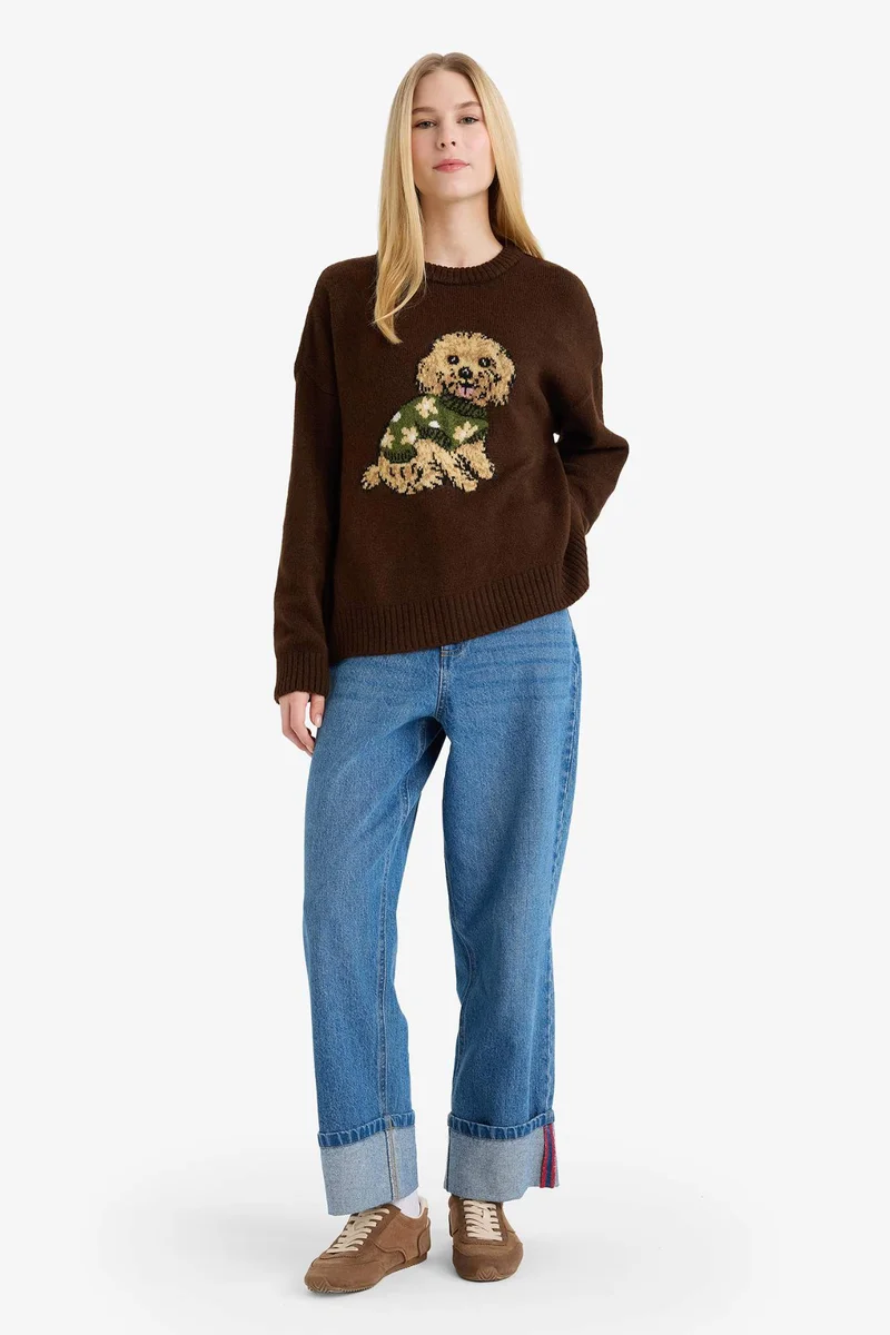 Defacto Regular Fit Crew Neck Dog Prit Knitwear Pullover
