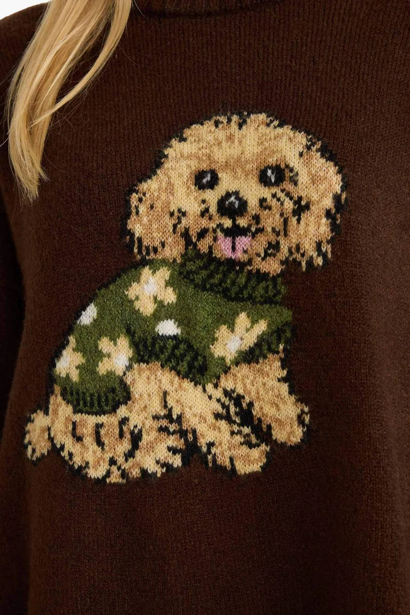 Defacto  Regular Fit Crew Neck Dog Prit Knitwear Pullover  | Best Price UAE