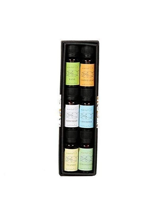 OLFA Aromatherapy Essential Oils Gift Set 6 Bottles 10Ml Each 100% Pure (Basil Cloveleaf Rosemarylavender Teatreelemongrass)  - Image 2