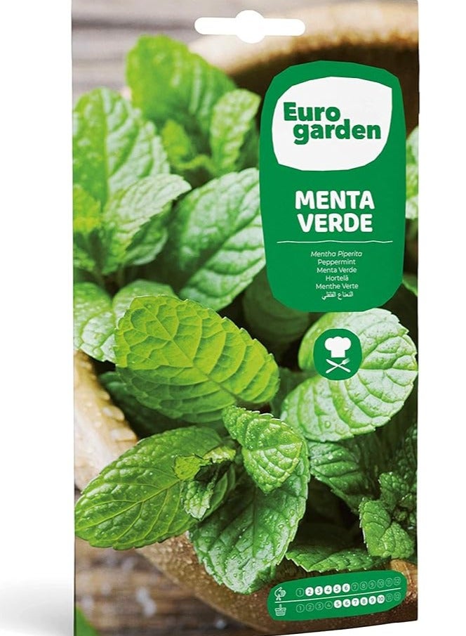 فيتو سيميلاس فيتو النعناع الأخضر - فيردي - Image 1