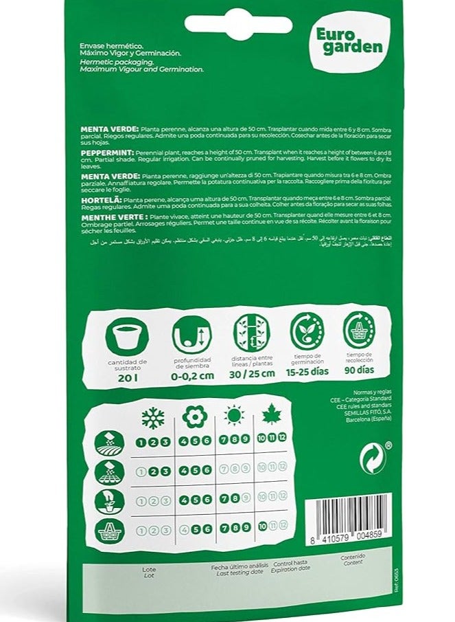 فيتو سيميلاس فيتو النعناع الأخضر - فيردي - Image 2