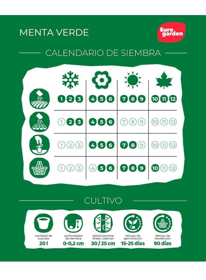 فيتو سيميلاس فيتو النعناع الأخضر - فيردي - Image 3