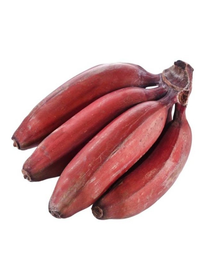 موز أحمر, 4 - 5 حبات للكلغ