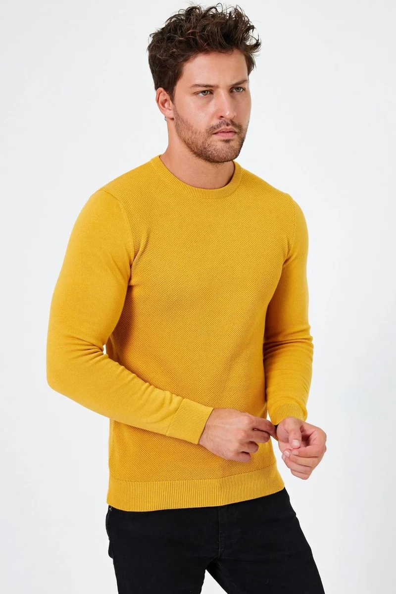 الكسندر جاردي Crew Neck Regular Fit Sweater (E24-EZE-03)