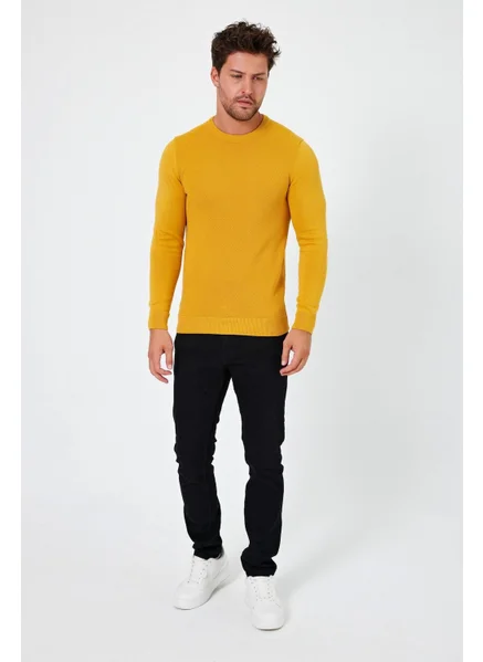 Alexander Gardi Crew Neck Regular Fit Sweater (E24-EZE-03)