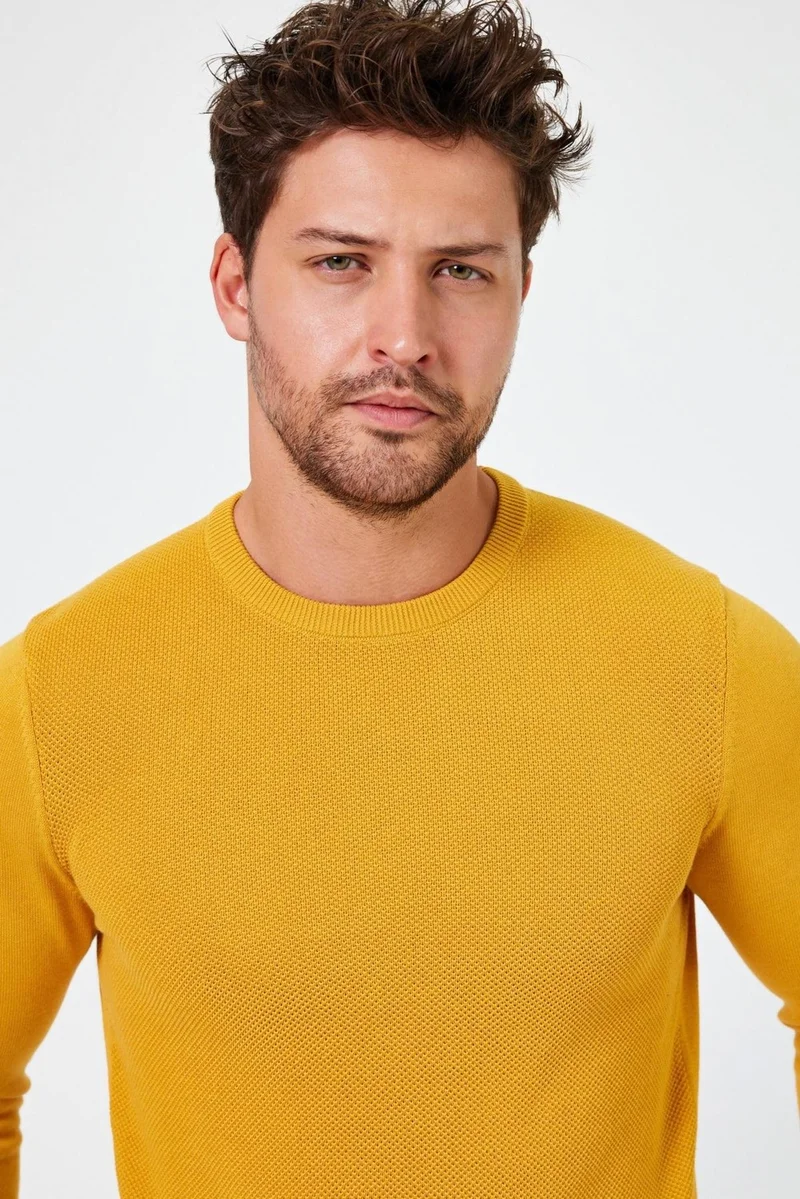 الكسندر جاردي Crew Neck Regular Fit Sweater (E24-EZE-03)