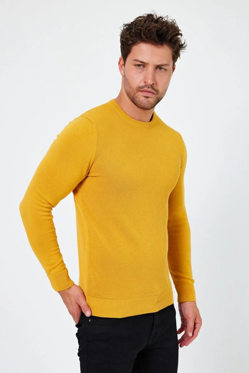 الكسندر جاردي Crew Neck Regular Fit Sweater (E24-EZE-03)