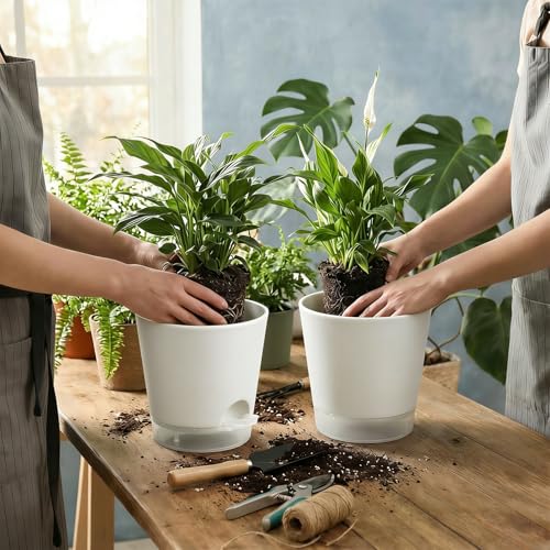 GARDIFE 2026 Upgraded Self Watering Plant Pots with Drainage Hole, 7/6.5/6/5.5/5/4 Inch Flower Planting Containers for House Plants, African Violet, Flowers, Cactus (White, 7+6.5+6+5.5+5+4 inch) - Image 5