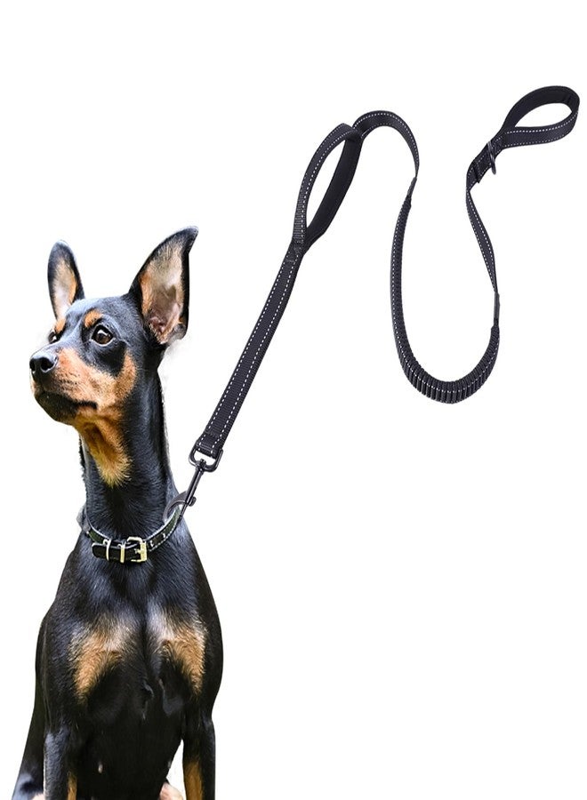 Eco Clean ECO-CLEAN 6 Ft Reflective Dog Training Leash, Shock Absorbing Retractable Strong Dog Leash for Medium Large Dogs - Image 1