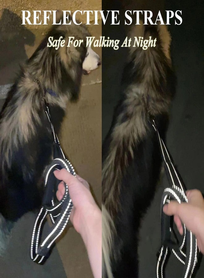 Eco Clean ECO-CLEAN 6 Ft Reflective Dog Training Leash, Shock Absorbing Retractable Strong Dog Leash for Medium Large Dogs - Image 4