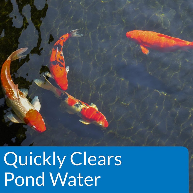 API POND ACCU-CLEAR Pond Water Clarifier - 32 Ounce Bottle for Crystal Clear Pond Water - Image 4
