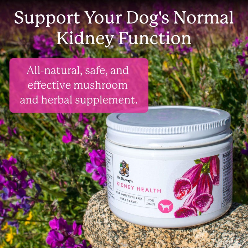 Dr. Harvey's Kidney Health Kidney Support Supplement for Dogs (4 Ounces) - Image 2