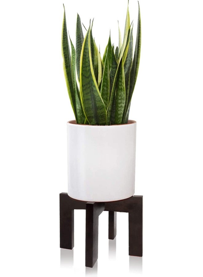 Gendral Forwepup BPA Plant Stand Indoor Outdoor, Mid Century Plant Stand for Indoor Plants, Wood Modern Plant Holder Rattan Flower Plant Stool, Low Short Boho Rustic Planter Stand, Fit 5-15 Inch Pot - Image 1