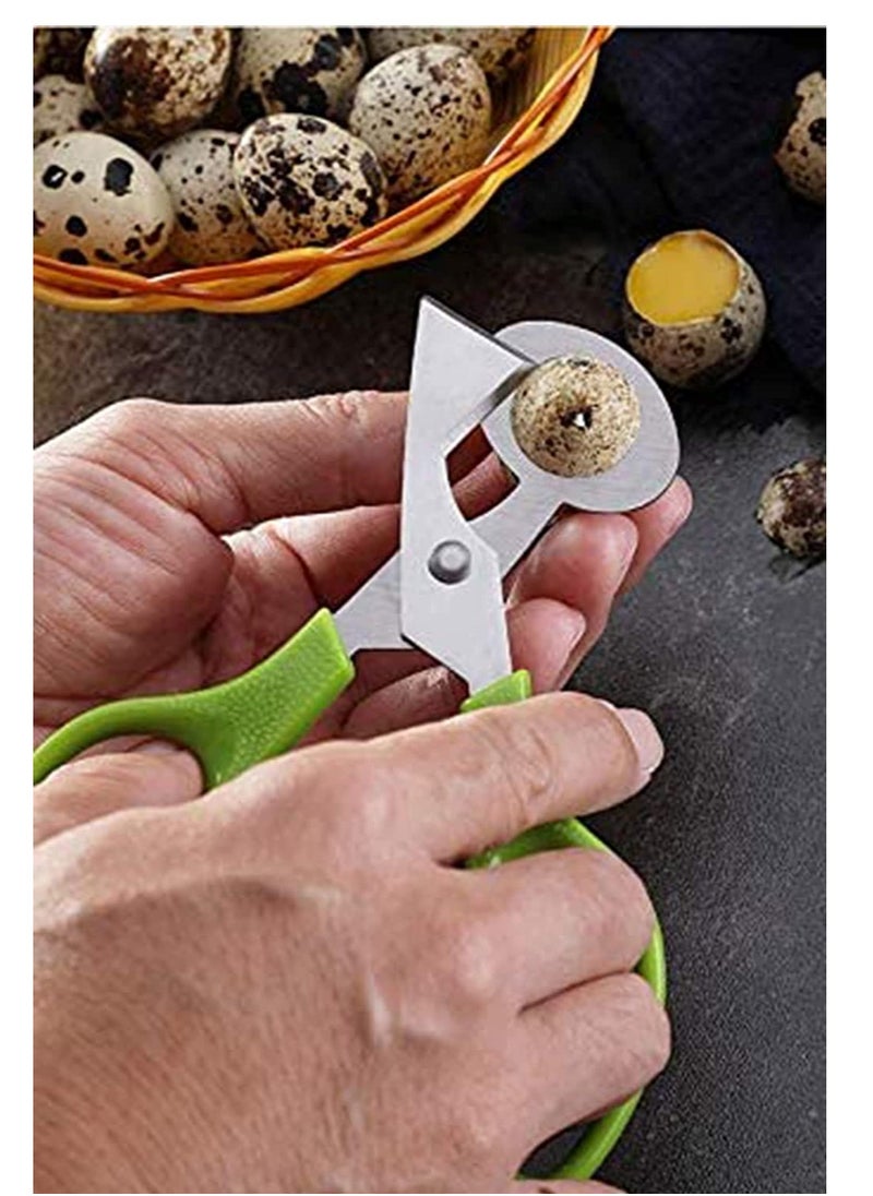 2pcs Stainless Steel P IGeon Quail Egg Scissors, Bird Egg Cutter Opener, Shears Tool for Home Kitchen, Green - pzsku/Z116D63B44E6797562AF7Z/45/_/1697011009/2bc24455-58b1-4569-b492-d4e691c669eb