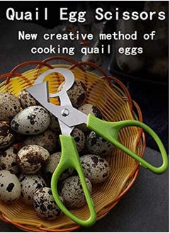 SYOSI 2pcs Stainless Steel P IGeon Quail Egg Scissors, Bird Egg Cutter Opener, Shears Tool for Home Kitchen, Green  - Image 2