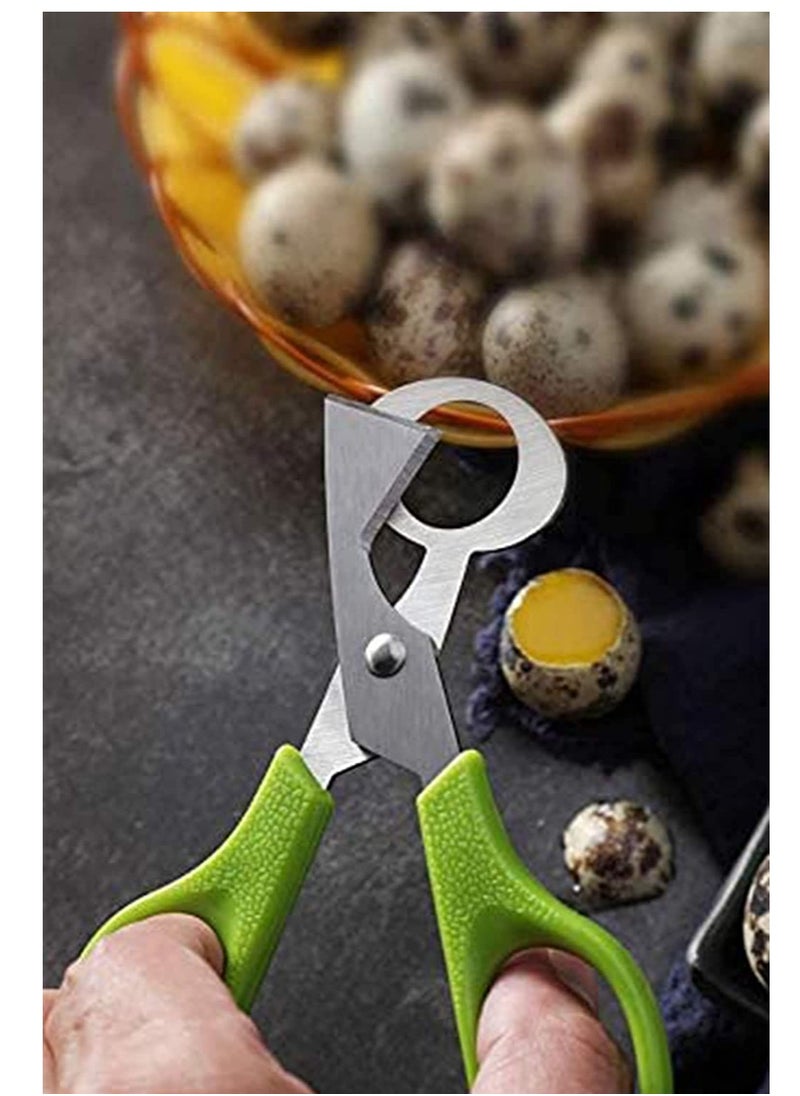 2pcs Stainless Steel P IGeon Quail Egg Scissors, Bird Egg Cutter Opener, Shears Tool for Home Kitchen, Green - pzsku/Z116D63B44E6797562AF7Z/45/_/1697011010/34a986b7-c89e-44b7-b25c-41614c6d27d5