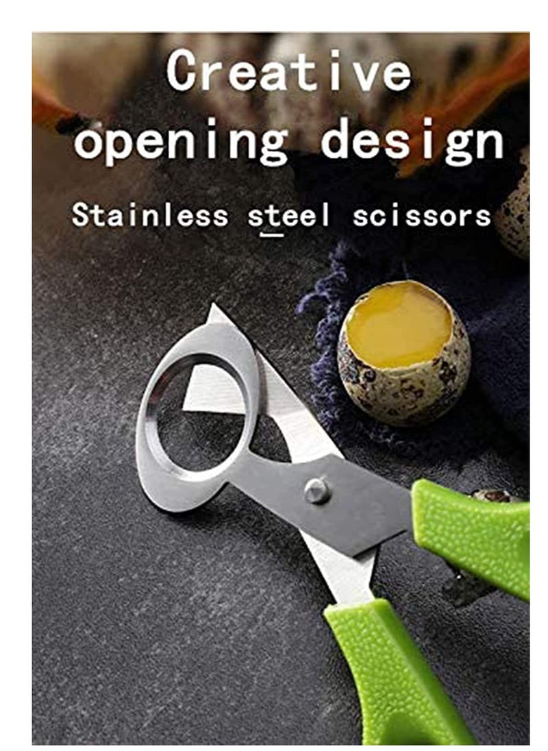 2pcs Stainless Steel P IGeon Quail Egg Scissors, Bird Egg Cutter Opener, Shears Tool for Home Kitchen, Green - pzsku/Z116D63B44E6797562AF7Z/45/_/1697011012/61e39cf9-10af-4b5f-a155-3c4b94e3f21f