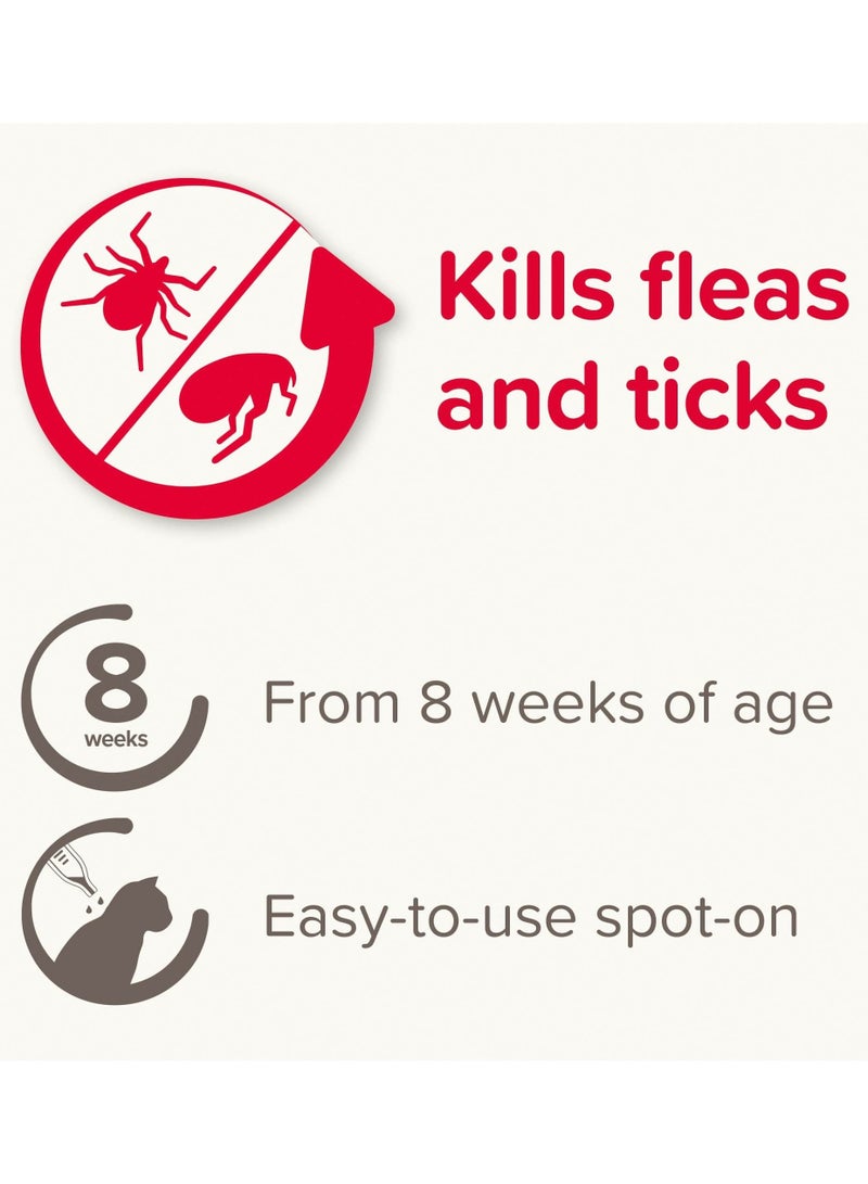 بيفار سبوت أون للقطط 50 ملغ - Image 2