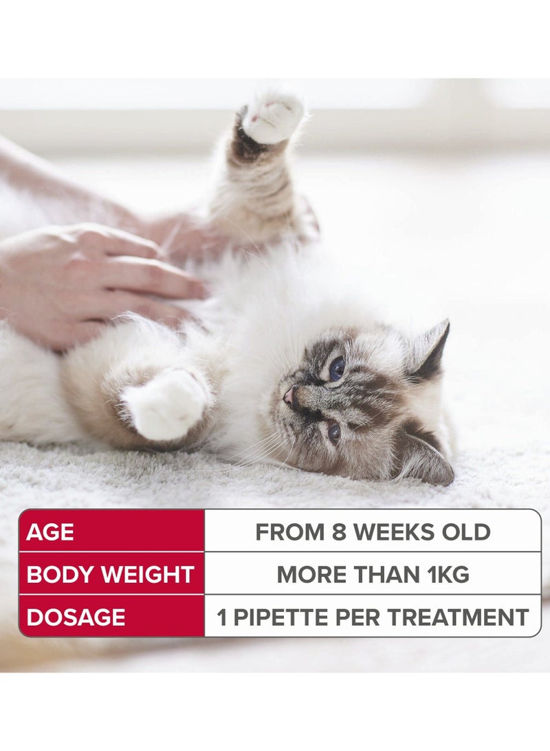 بيفار سبوت أون للقطط 50 ملغ - Image 4