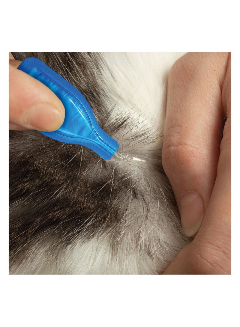 بيفار سبوت أون للقطط 50 ملغ - Image 3