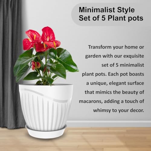 JD FRESH 5 Pack Plastic Round Flower Pots with Drainage & Bottom Tray/Lightweight, UV & Weather Resistant/6.5 Inch Planters for Indoor/Outdoor/Home/Terrace/Balcony/Garden Plant Pots - (White) - Image 4