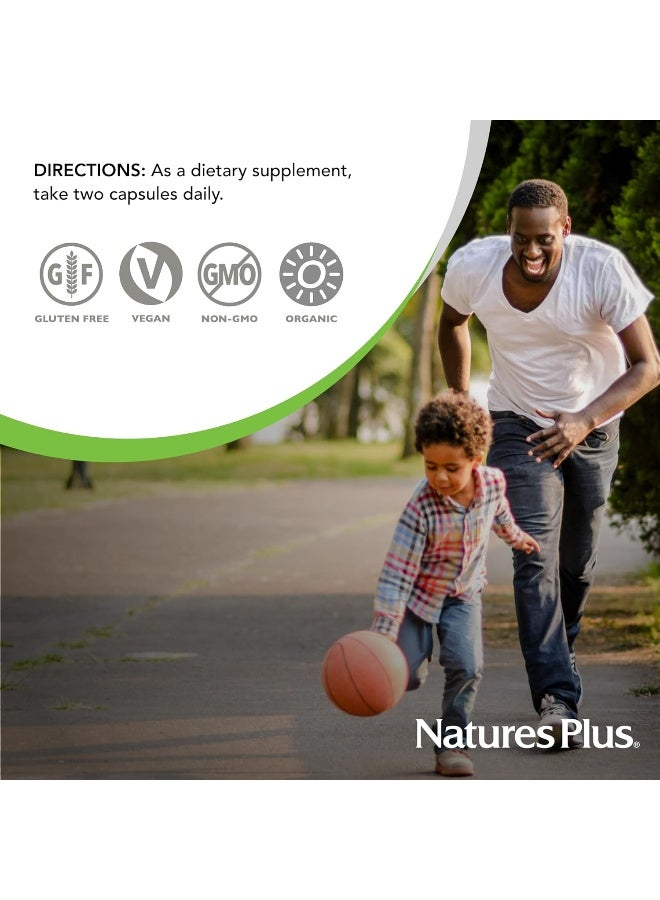 NaturesPlus Organic Vitamin C Amla Berry 60 Vegan Capsules - Image 5