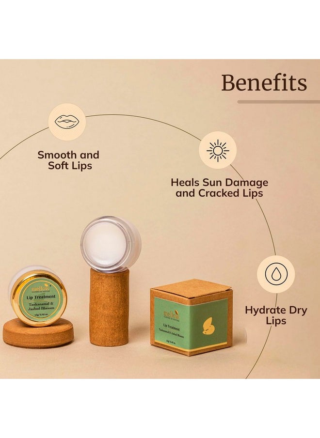 MELLOW Herbal Lip Treatment With Almond Oil & Jasad Bhasma For Moisturize & Nourish Dry & Chapped Lips Ayurvedic Balm For Men & Women Paraben Free [Cream 12 Gm]  - Image 3