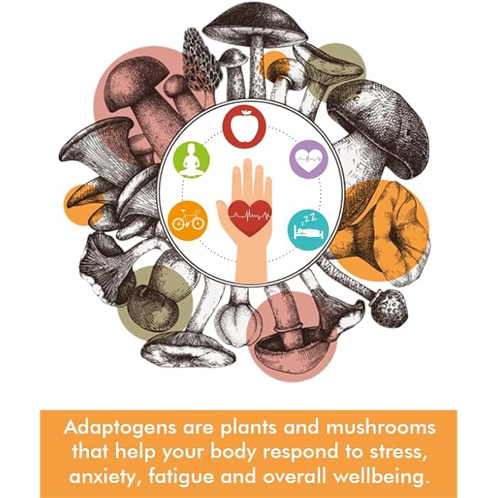 Tree of Life Botanicals - Sleep Mushroom Complex with Magnesium, Melatonin, Reishi, Lion’s Mane, Cordyceps - Calms, Deep Sleep, Restoration (60 Count - 30 Day Supply) - Image 4