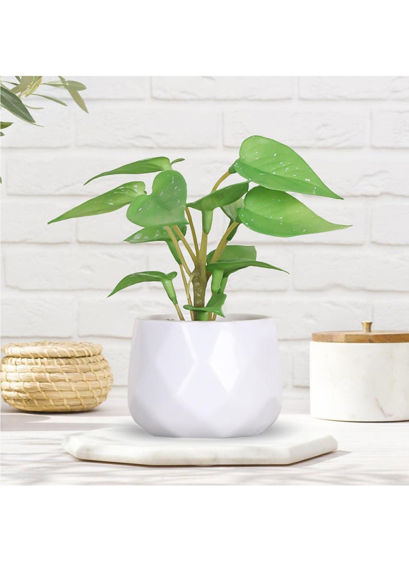 Splendors 4 Pieces Mini Artificial Plants Set Artificial Flower Home Decoration Small Fake Plants for Desk Office Home Bathroom Kitchen Bedroom Faux Plants Fake Flower in Pots Gift  - Image 3