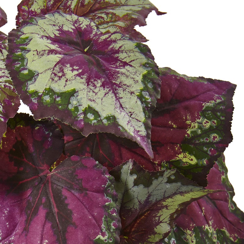 Nearly Natural Wax Begonia Bush (Set of 6) - Image 3