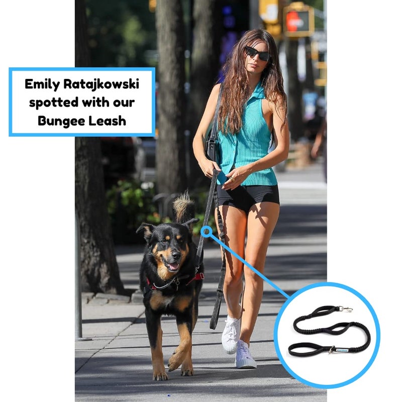 Shed Defender Shock Absorbing Bungee Leash - Three Padded Traffic Handles, Designed in The USA, Stretches 4-7ft, Elastic Dog Leash, Reflective Stitching, Large Dog & Small Breed, Heavy Duty, Black - Image 4