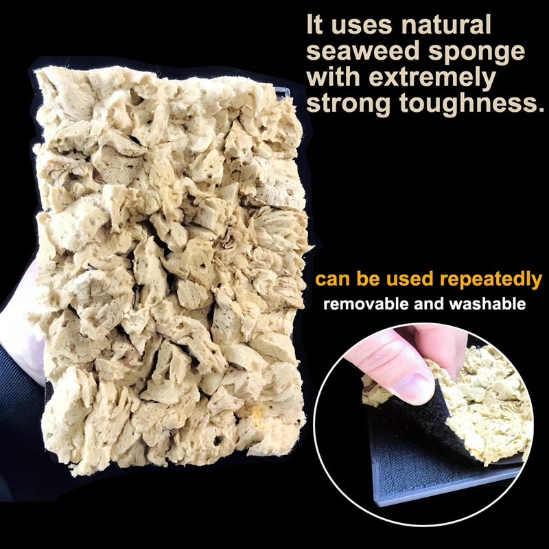 BANCOO Natural Sea Sponge Daubers for Wall Texture Painting - Reusable Texturing Tool for Intricate Patterns, Professional & DIY Home Renovation Art Paint Projects (BC018-M) - Image 3
