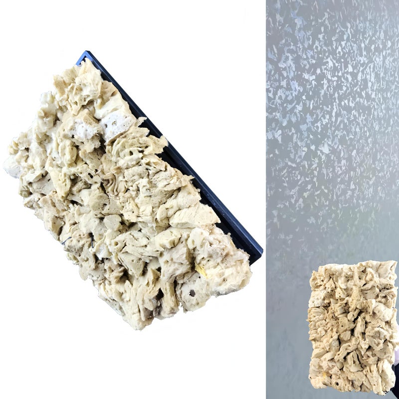 BANCOO Natural Sea Sponge Daubers for Wall Texture Painting - Reusable Texturing Tool for Intricate Patterns, Professional & DIY Home Renovation Art Paint Projects (BC018-M) - Image 1