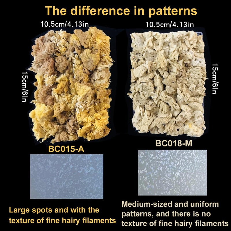 BANCOO Natural Sea Sponge Daubers for Wall Texture Painting - Reusable Texturing Tool for Intricate Patterns, Professional & DIY Home Renovation Art Paint Projects (BC018-M) - Image 2