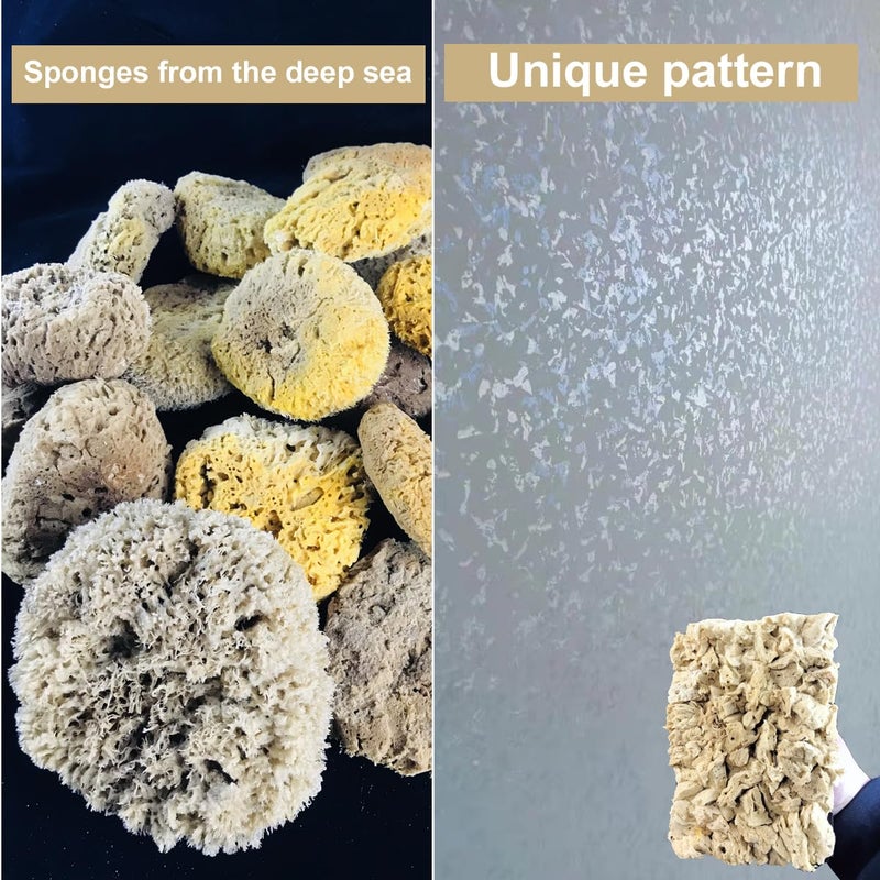 BANCOO Natural Sea Sponge Daubers for Wall Texture Painting - Reusable Texturing Tool for Intricate Patterns, Professional & DIY Home Renovation Art Paint Projects (BC018-M) - Image 4