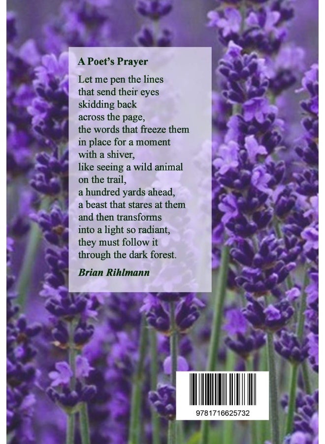 Prism 47 - September 2020 - Image 2