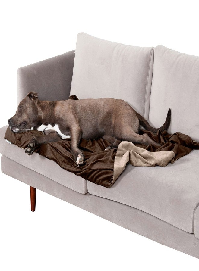 Furhaven Waterproof Throw Blanket for Dogs & Indoor Cats, Washable - Two-Tone Luxe Velvet Dog Blanket - Brownstone, Large - Image 1