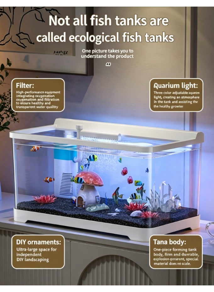 CityRiya-Long Small Desktop Aquarium with Integrated Oxygenation Filtration, Adjustable 3-Color Light, One-Piece Anti-Scale Fish Tank for DIY Landscaping, Ideal for Home and Office (KT-4021) - Image 2