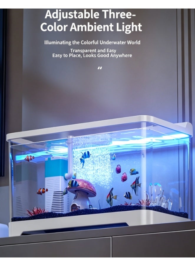 CityRiya-Long Small Desktop Aquarium with Integrated Oxygenation Filtration, Adjustable 3-Color Light, One-Piece Anti-Scale Fish Tank for DIY Landscaping, Ideal for Home and Office (KT-4021) - Image 4