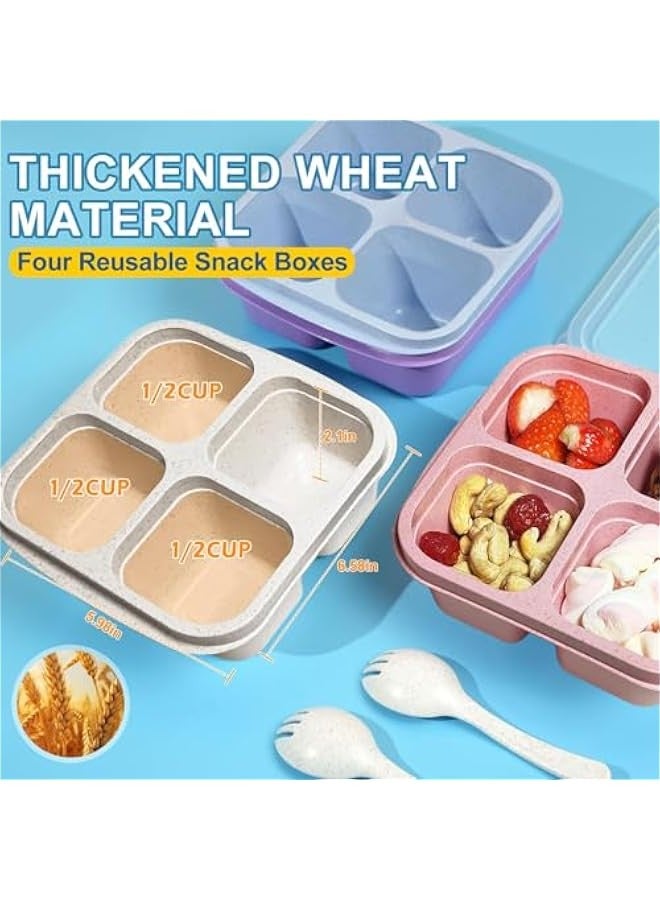 بيوينتي 4 قطع Bento صندوق الغداء ، قش القمح من الدرجة الغذائية PP 4 مقصورة Bento Box ، صندوق وجبات خفيفة قابلة لإعادة الاستخدام للبالغين والأطفال ، حاويات إعداد الوجبات للمدرسة ، العمل ، السفر ، المجمد وغسالة الصحون آمنة - Image 2