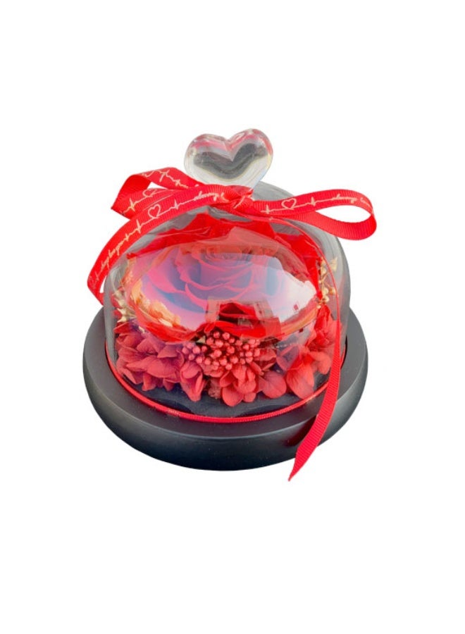 Preserved Single Red Rose Age 2 To 3 Years Glass Dome Premium Quality Gift Box