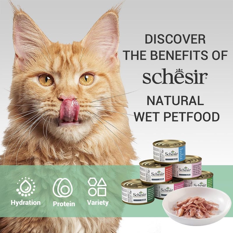 Schesir Tuna Whole Meat with Hake in Jelly Cat Wet Food - 100% Natural, Seafood Blend for Adult Cats, 85g Pouch High-Protein, Grain-Free, Easy to Digest (Pack of 6) - Image 3