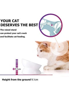 Garlo Cat Bowl Anti Vomiting, Raised Cat Food Bowls, Tilted Elevated Cat Bowl, Ceramic Pet Food Bowl for Flat Faced Cats, Small Dogs, Protect Pet's Spine, Dishwasher Safe  - Image 3