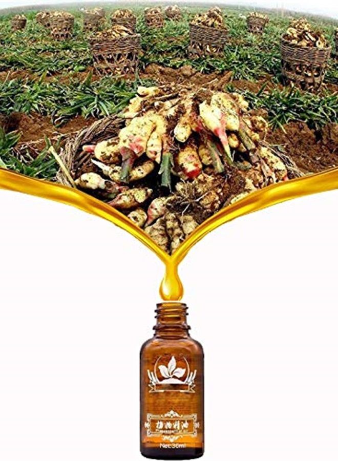 Vamotto 2 Pack Ginger Oil for Lymphatic Drainage, Vamotto Ginger Essential Oil for Swelling and Pain Skin Body Massage, Ginger Massage Oil Essential, SPA Ginger Essential Oils, Ginger Body Oil 30ML/Bottle - Image 1