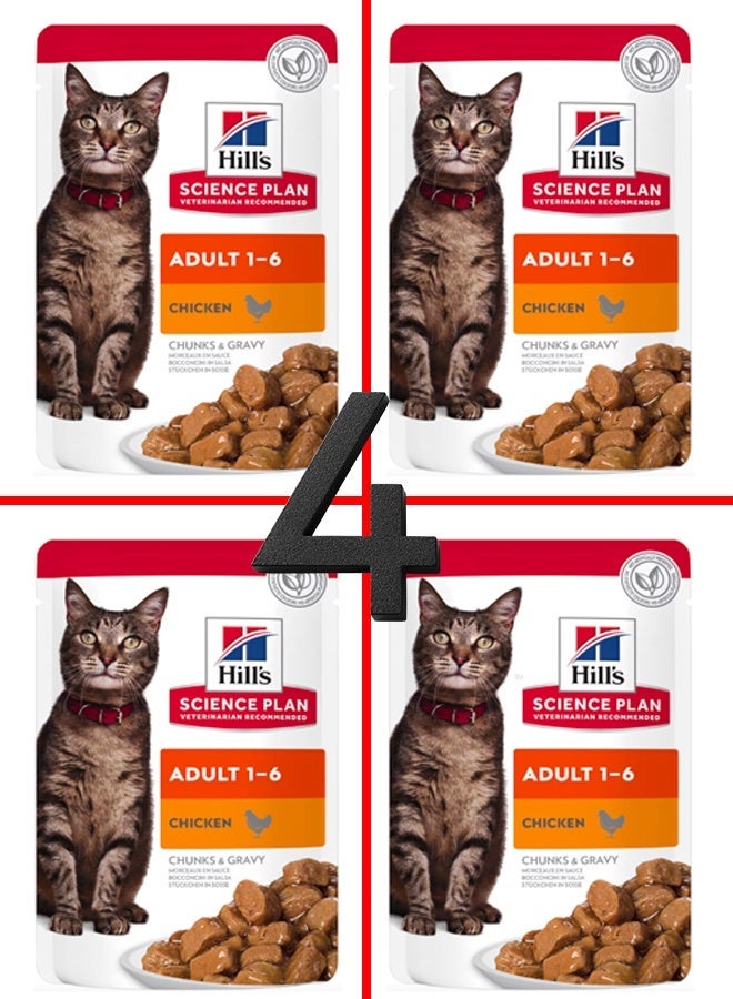 هيل طعام القطط الرطب من هيلز ساينس بلان للبالغين من عمر 1 إلى 6 سنوات، قطع دجاج مع مرق - 4 أكياس، حجم كل كيس 80 غرام - Image 1